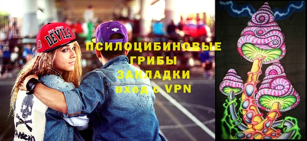 ПСИЛОЦИБИНОВЫЕ ГРИБЫ Алексин
