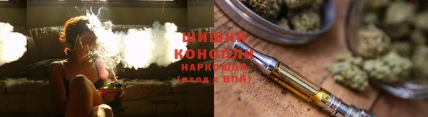 ПСИЛОЦИБИНОВЫЕ ГРИБЫ Алексин