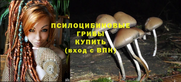 соль ск Алзамай