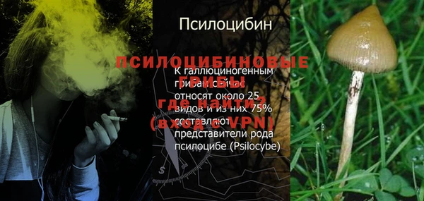 амфетамин Алексеевка